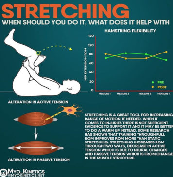 🔥HOW TO STRETCHING