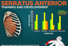 🔥SERRATUS ANTERIOR