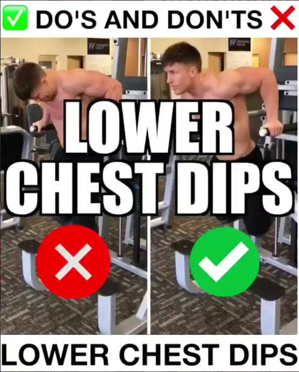 Lower Chest Dips