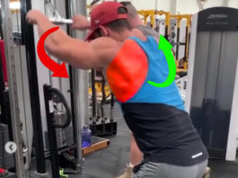 💪FULL BACK WORKOUT | VIDEO