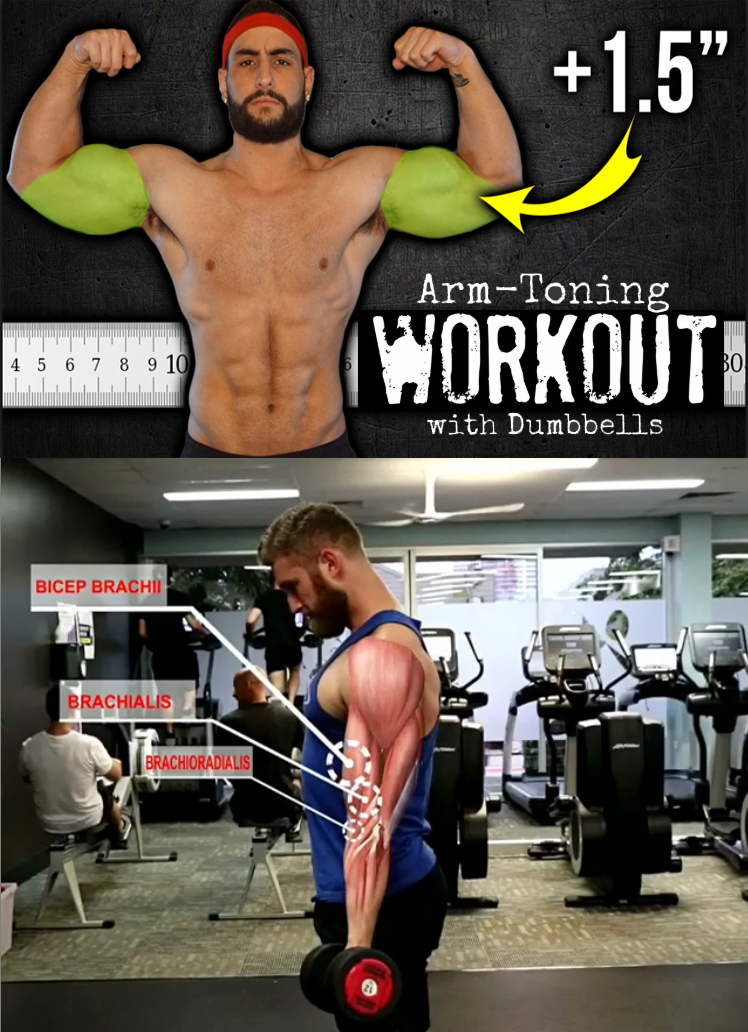 Biceps Workout 