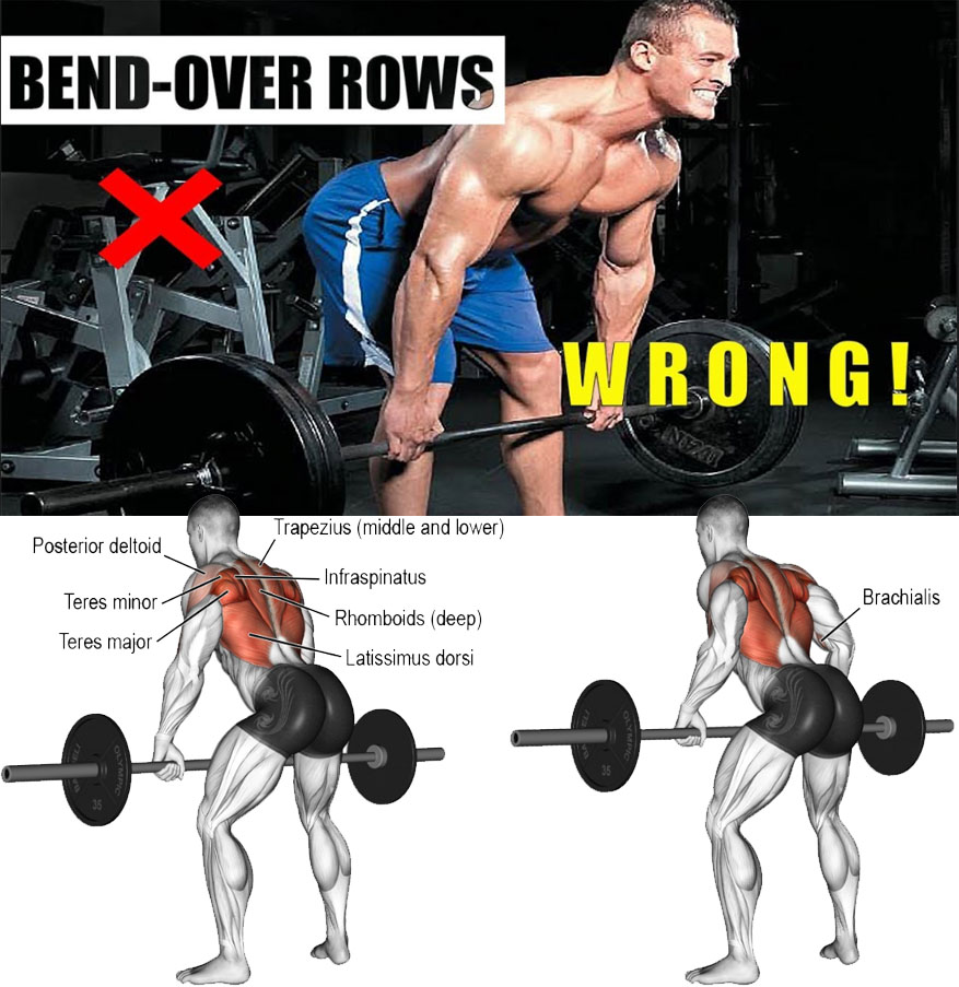 HOW TO BENT OVER ROW