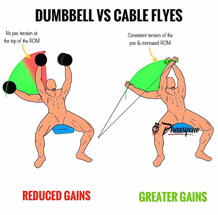 DUMBBELL VS CABLE FLYES