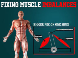 🔥FIXING MUSCLE IMBALANCES