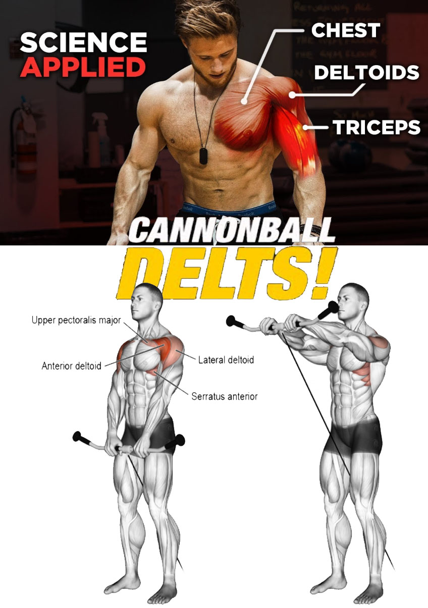 FRONT DELTS TRAINING