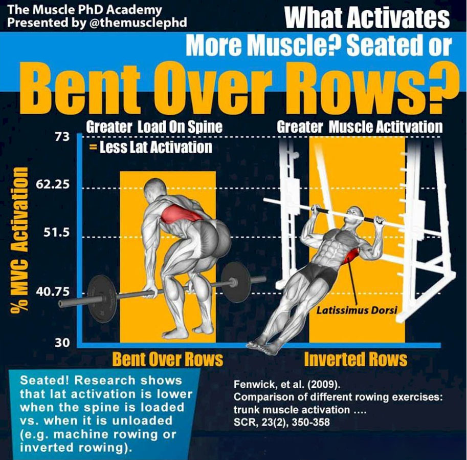 SEATED OR BENT OVER ROWS 