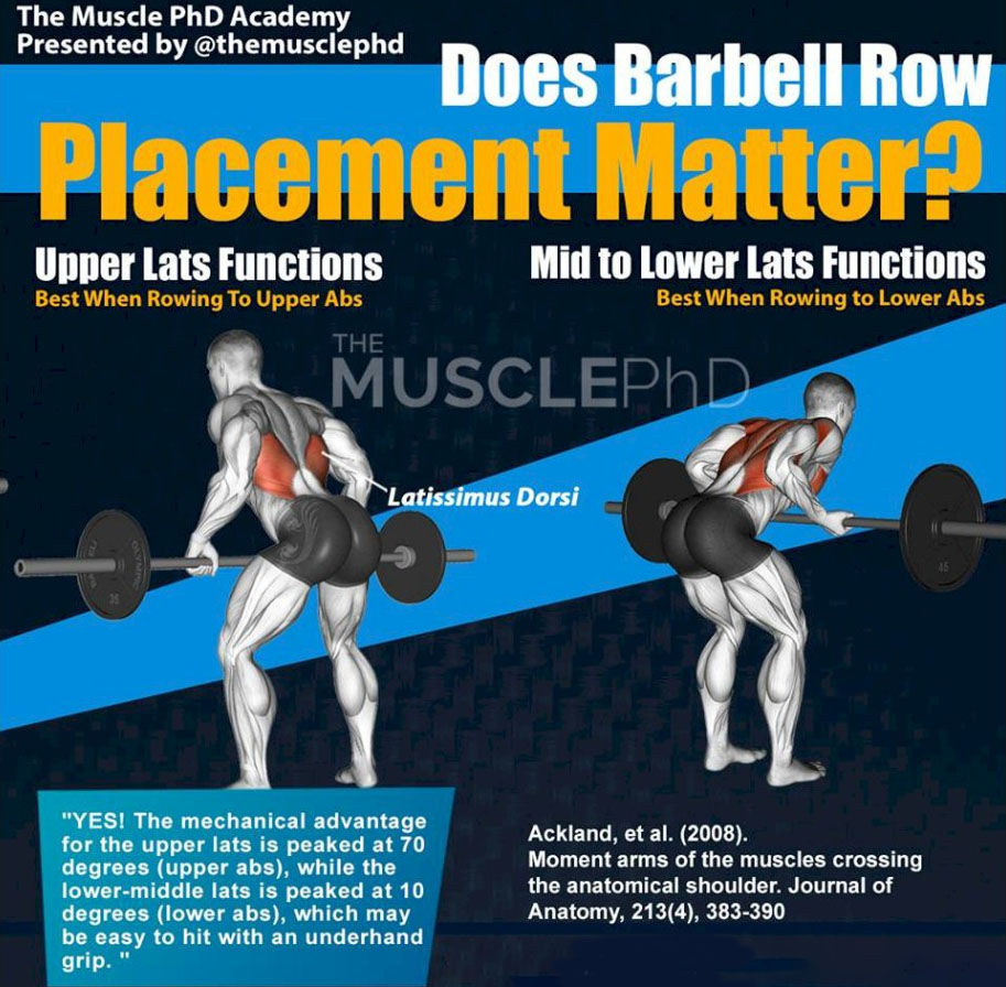 BARBELL ROW PLACEMENT MATTER