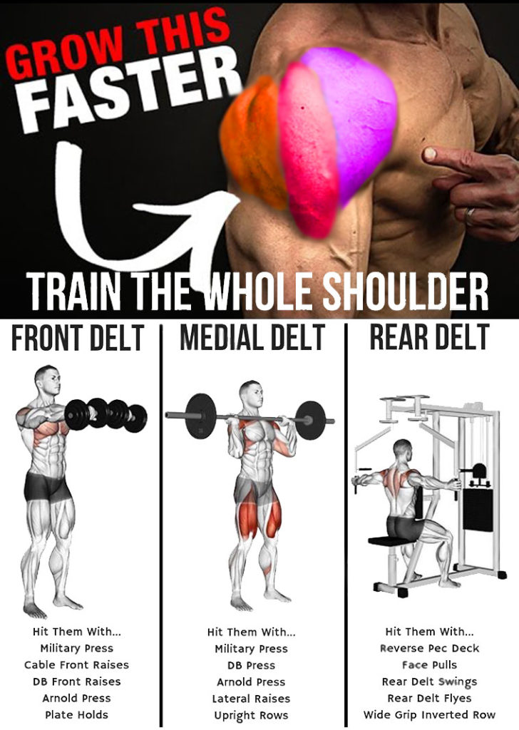 TOP 3 SHOULDER WORKOUT