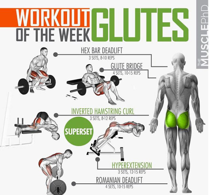 Activate The Glutes While Training