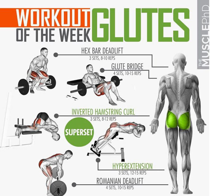 Activate The Glutes While Training 