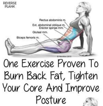 🔥Lower Body with Reverse Planks