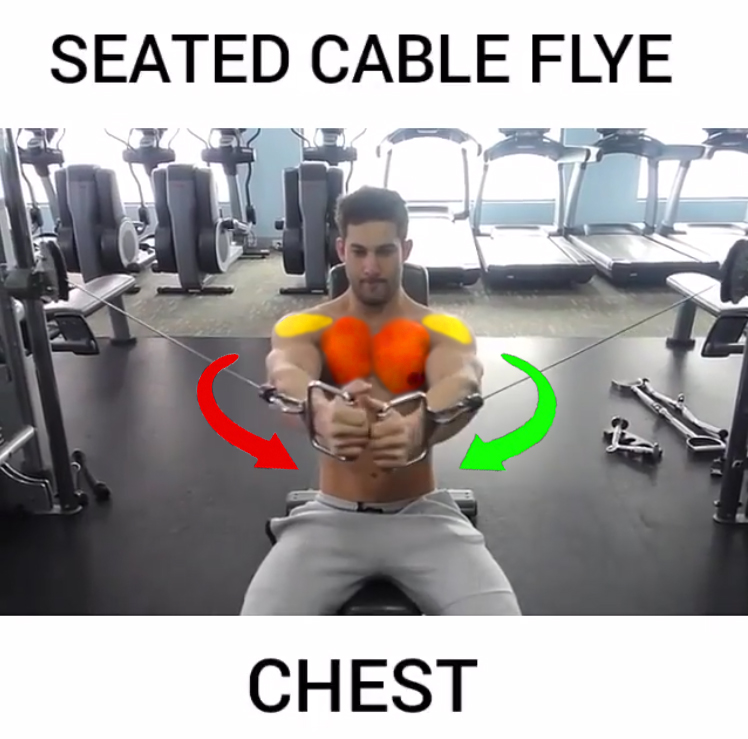 SEATED CABLE CHEST FLYE