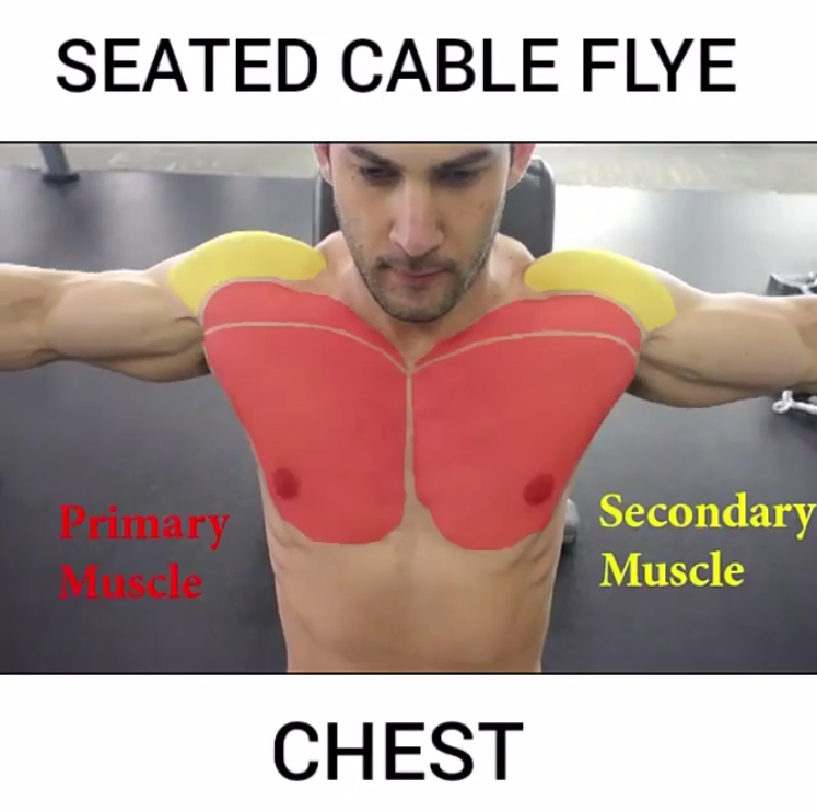 CABLE CHEST FLYE