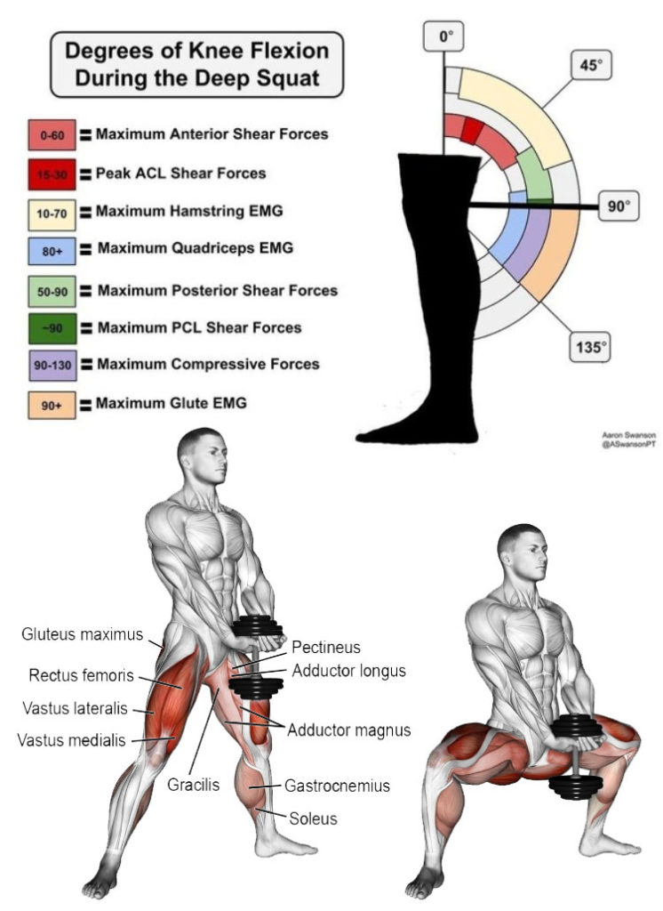 FIXED ROUTINE DIMINISHING MUSCLE GAIN