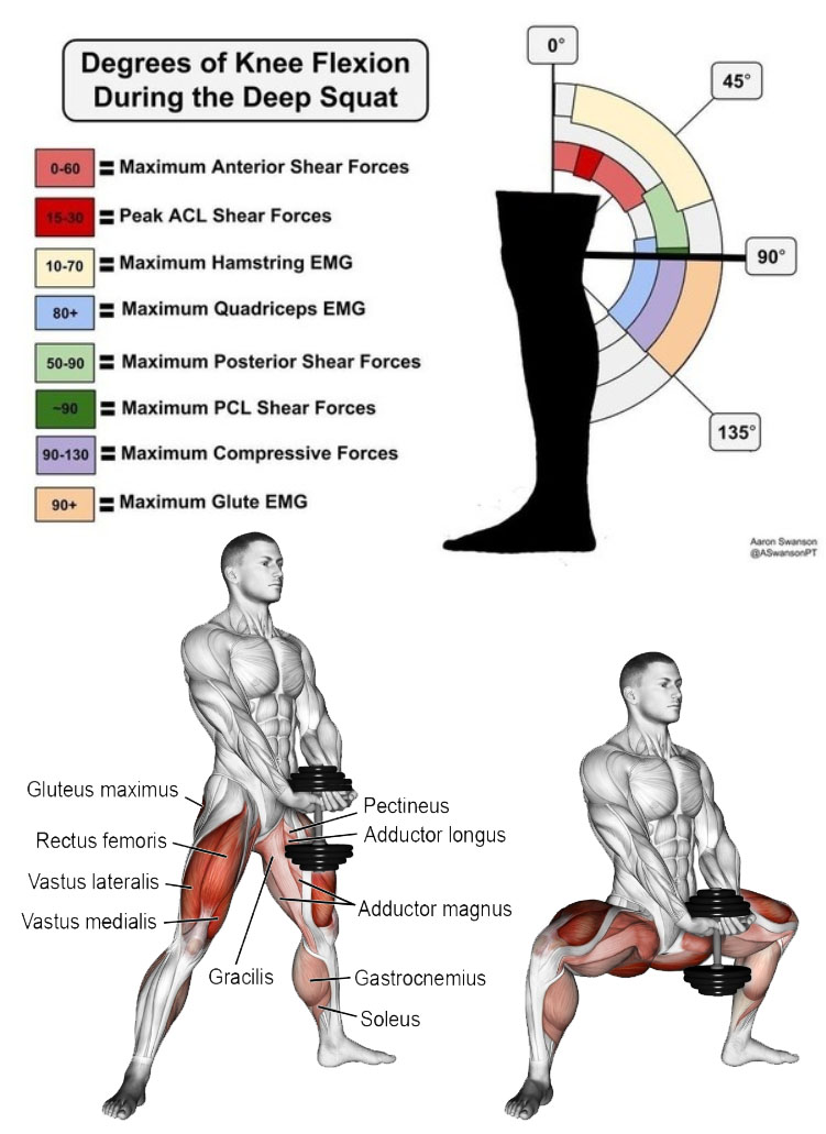 Degrees of Knee Flexion During the Deep Squat