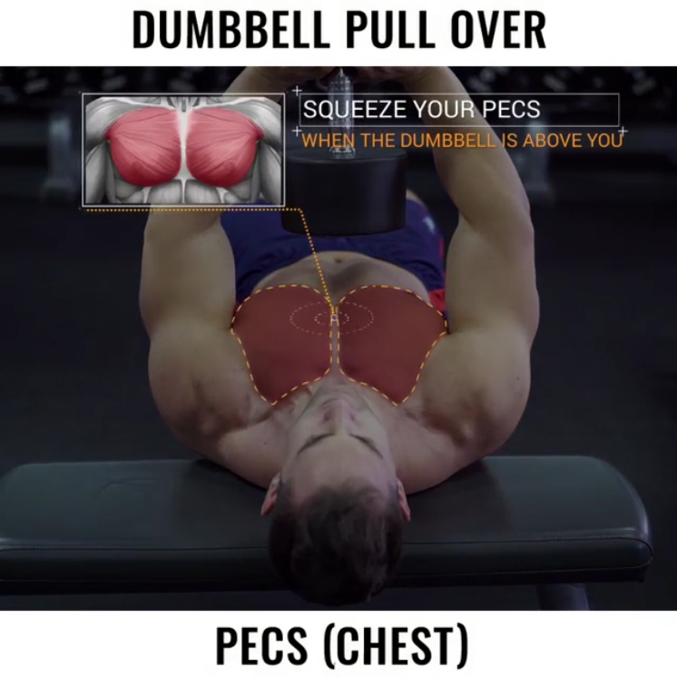 DUMBBELL PULLOVERS