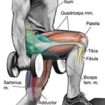 3f8958be95329be9e176b26b6c522f0e