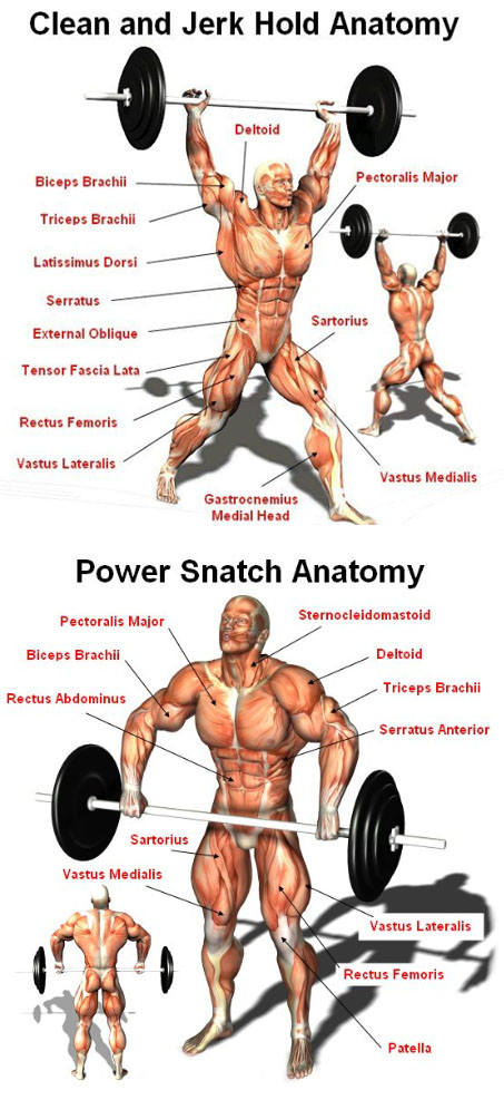 How to Squat Snatch