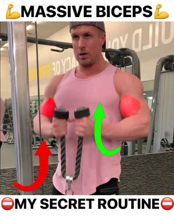 Cable Hammer Curls