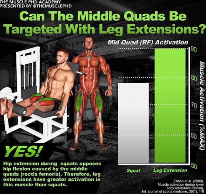 How To Quads Leg Extensions