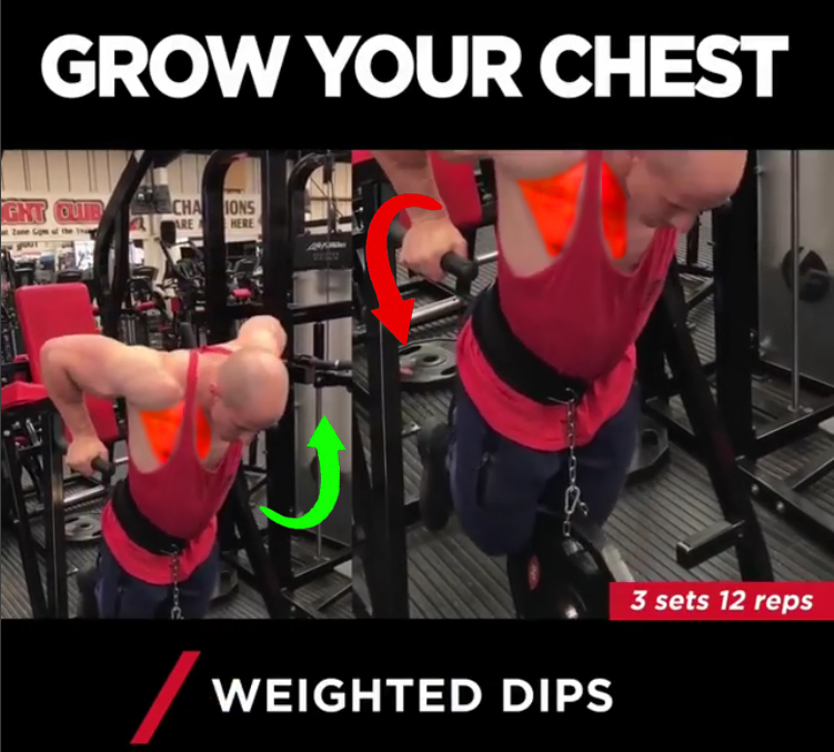 WEIGHTTED DIPS