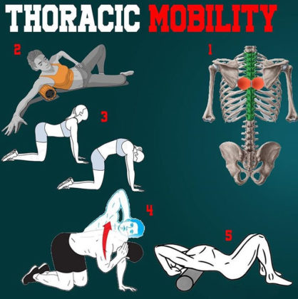 IMPROVE THORACIC MOBILITY