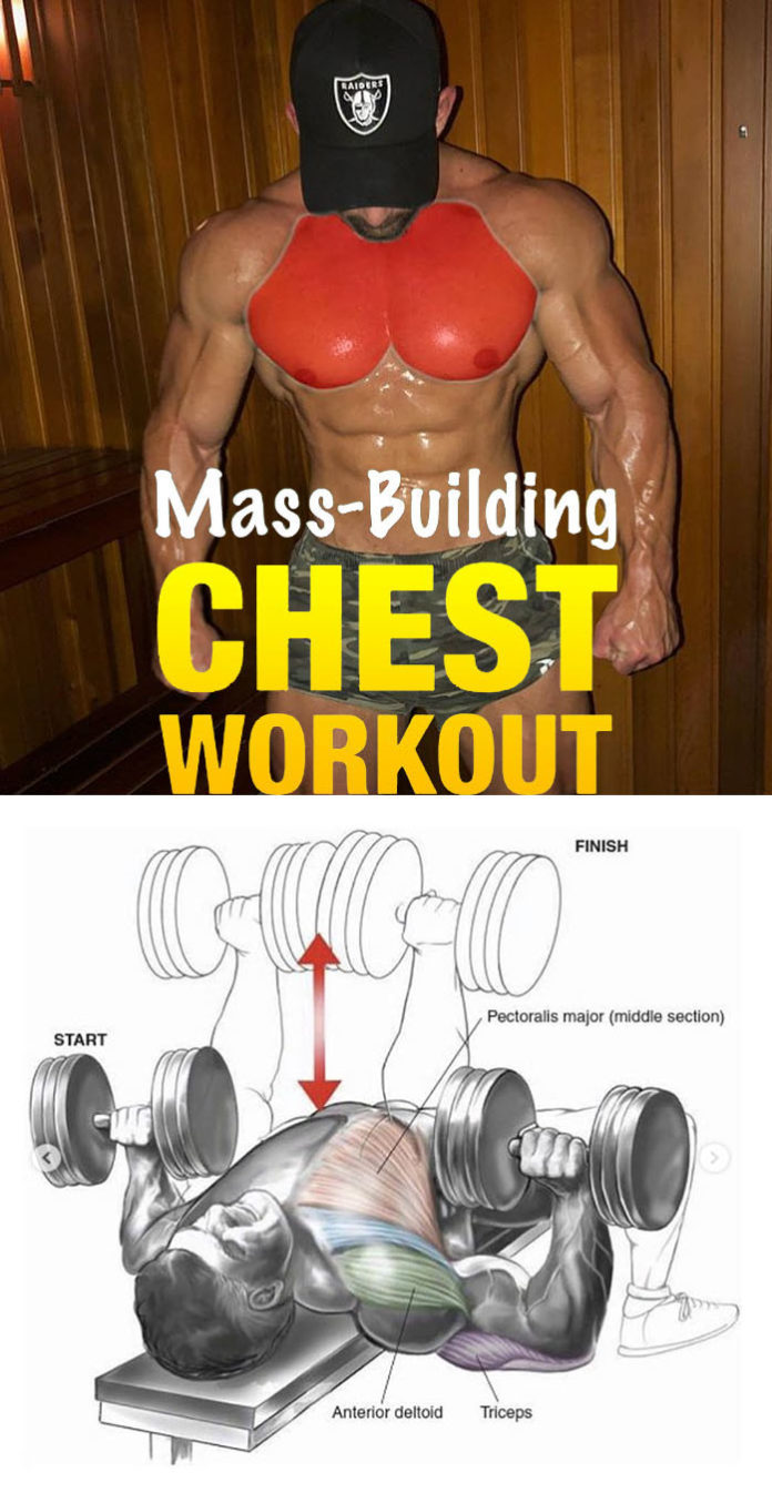 TOP BIG CHEST EXERCISES GUIDE
