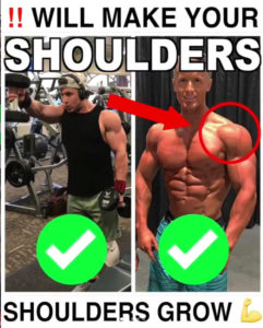 5 Best Shoulder Exercises