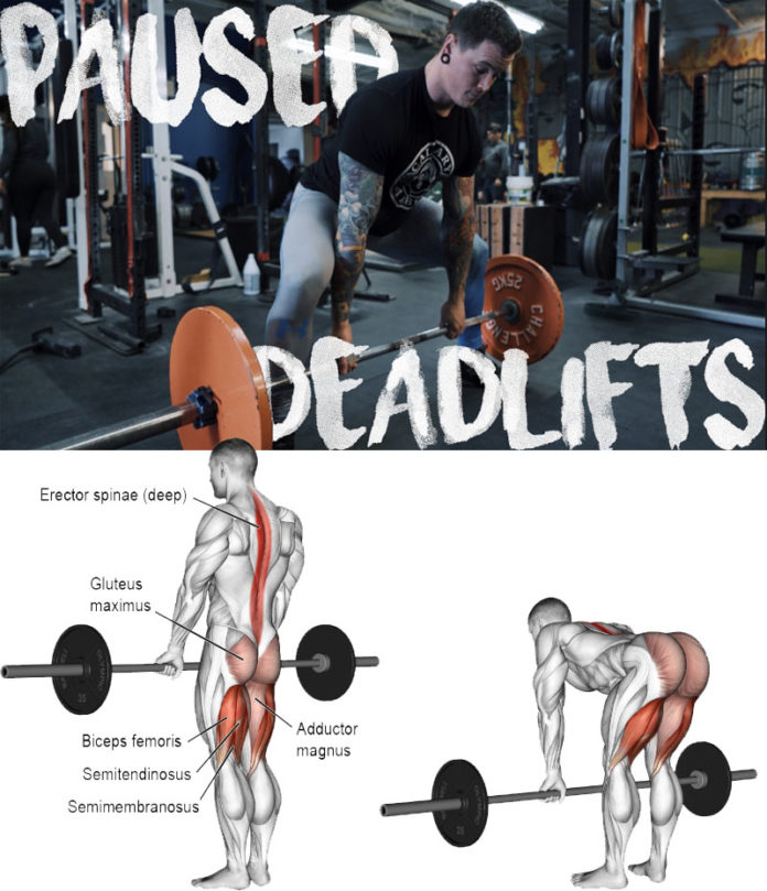 4-best-compound-exercises