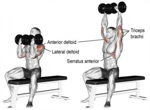 TOP 3 SHOULDER WORKOUT