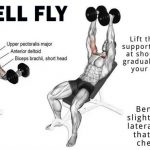 chest dumbbell fly