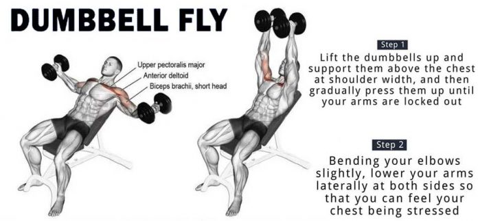 How to Dumbbell Chest Flyes | Weighteasyloss.com