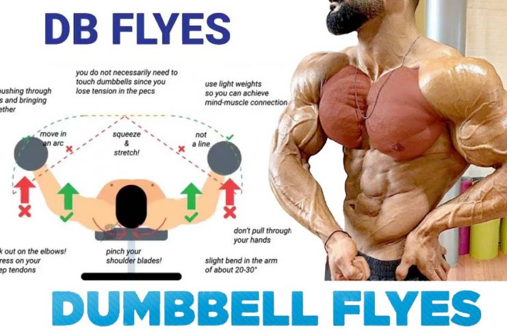 how to Do chest dumbbell flyes