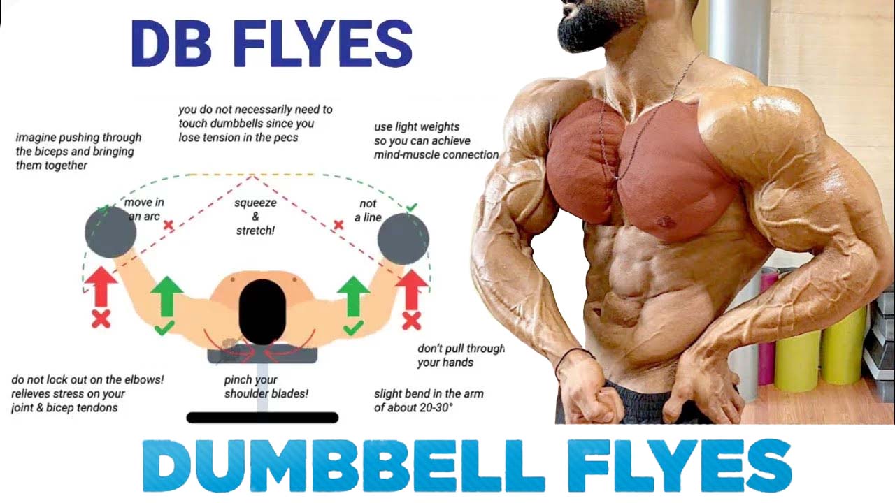 how to Do chest dumbbell flyes