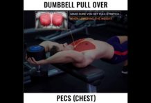 🚨DUMBBELL PULLOVERS | VIDEO & GUIDE