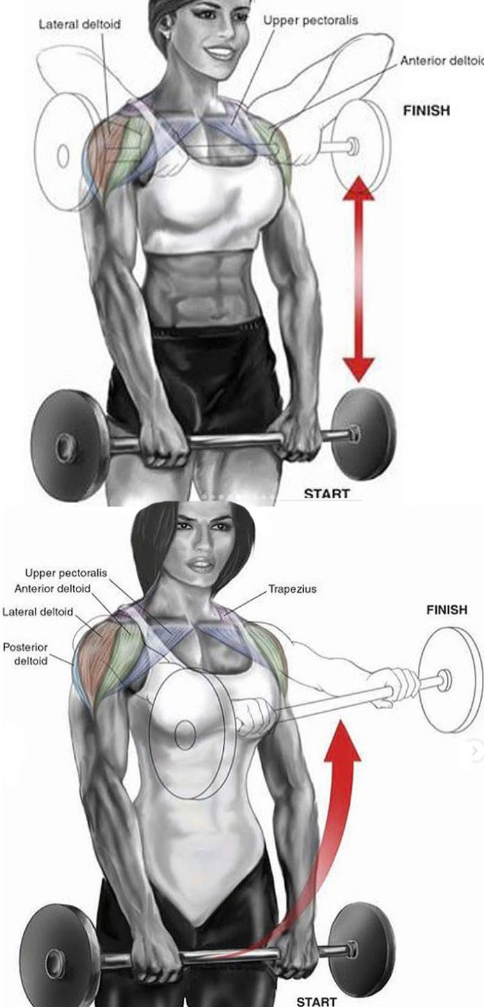 5 HIT TOP SHOULDER EXERCISES | PICTURE & GUIDE