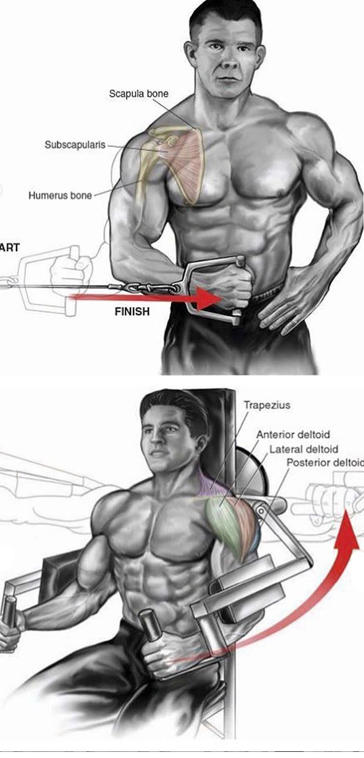 One-Аrm Cable Lateral Raise