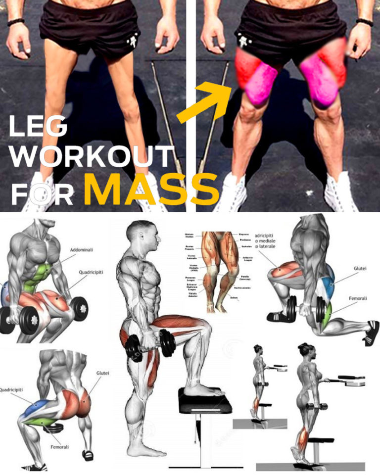 How To Legs Grow - Squat Exercise