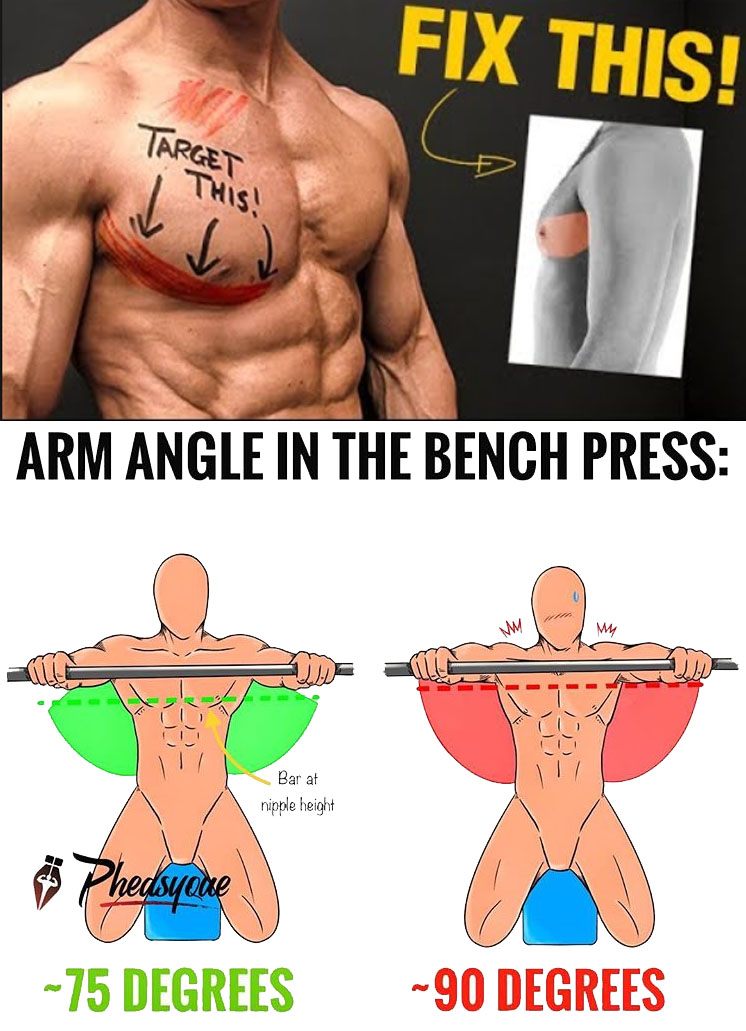 Angle in the Bench Press 