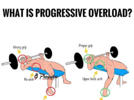 🔥PROGRESSIVE OVERLOAD