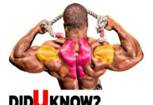 💪How to Cable Face Pull | Guide