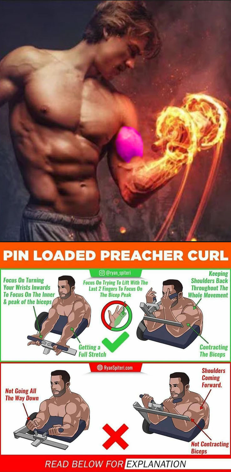 pin loaded preacher curl