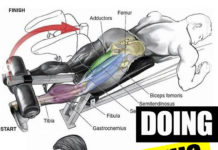 🔥HIT TOP LEGS EXERCISES