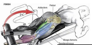 🔥HIT TOP LEGS EXERCISES