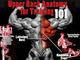 💪HOW TO TRAINING BUILD A BIGGER BACK