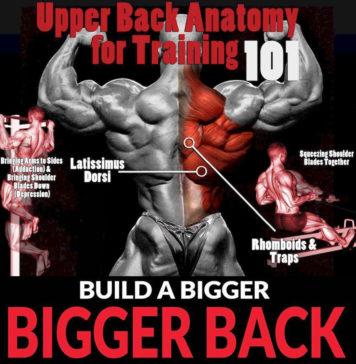 💪HOW TO TRAINING BUILD A BIGGER BACK