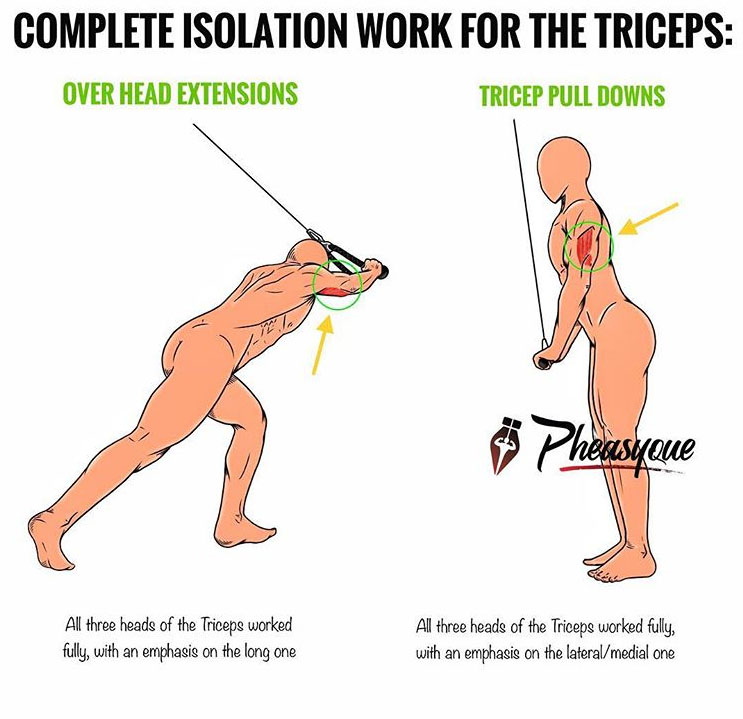 COMPLETE ISOLATION WORKOUT FOR THE TRICEPS