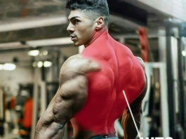 🔥Exercises for Shredded Huge Back | Picture & Guide