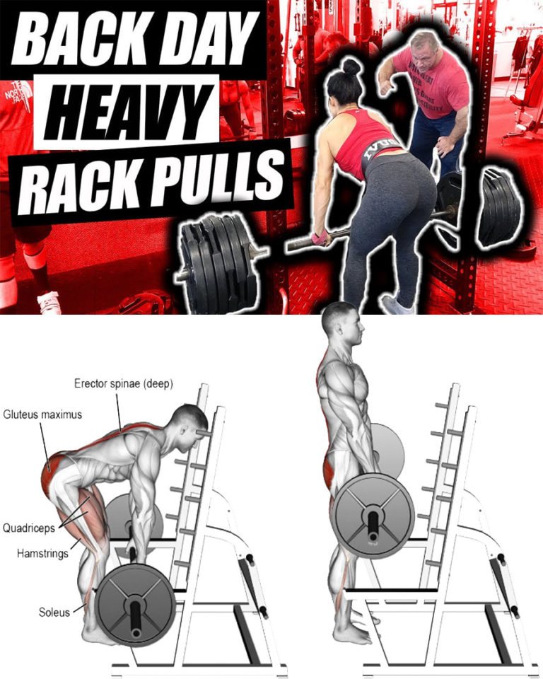 HOW TO TRAINING BUILD A BIGGER BACK