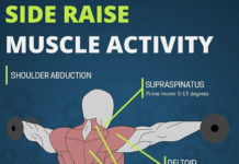 👇SIDE RAISE MUSCLE ACTIVITY